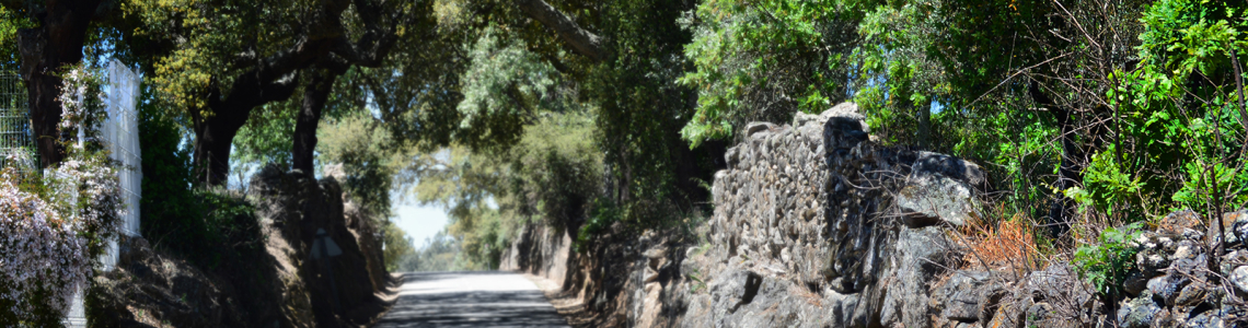 Caminho entre Vargem e Alagoa