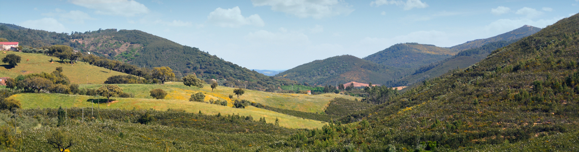 Paisagem junto à fronteira no Torrejão