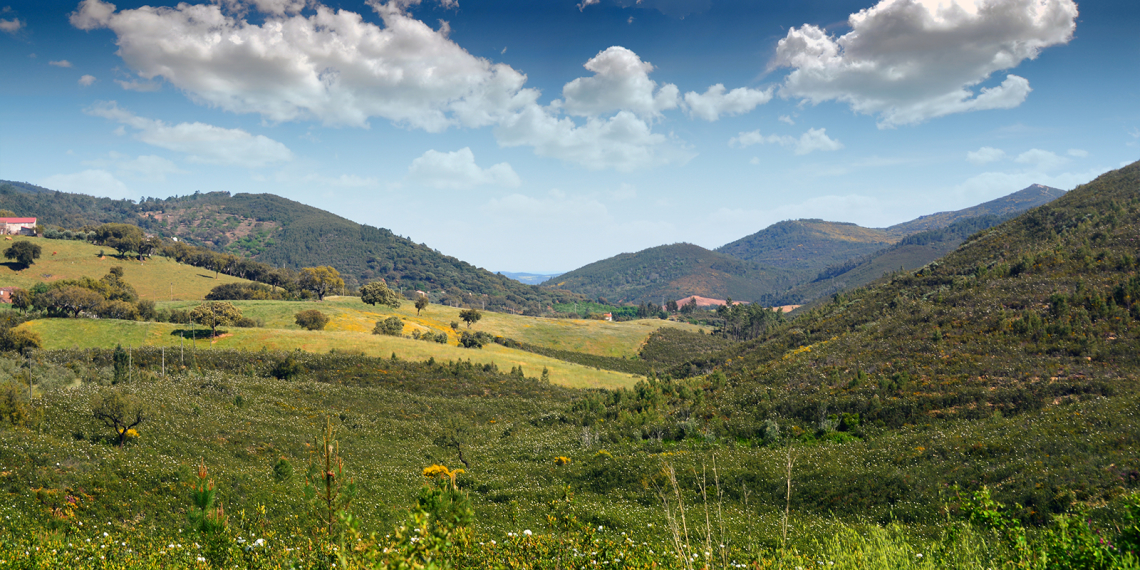 Paisagem junto à fronteira no Torrejão