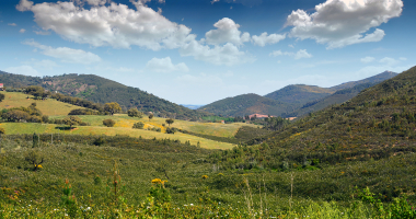 Paisagem junto à fronteira no Torrejão