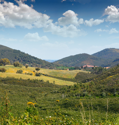 Paisagem junto à fronteira no Torrejão