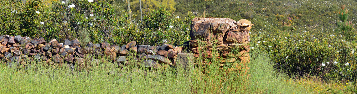 Murete perdido entre o verde