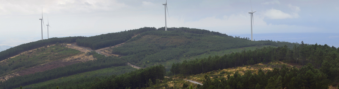 Panorâmicas de S. Mamede (moinhos de vento)