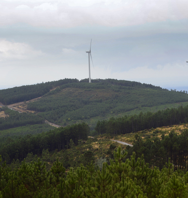 Panorâmicas de S. Mamede (moinhos de vento)