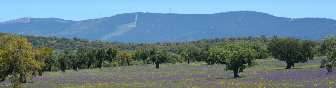 Vista para Norte no caminho Assumar-Urra