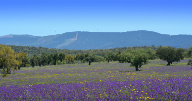 Vista para Norte no caminho Assumar-Urra