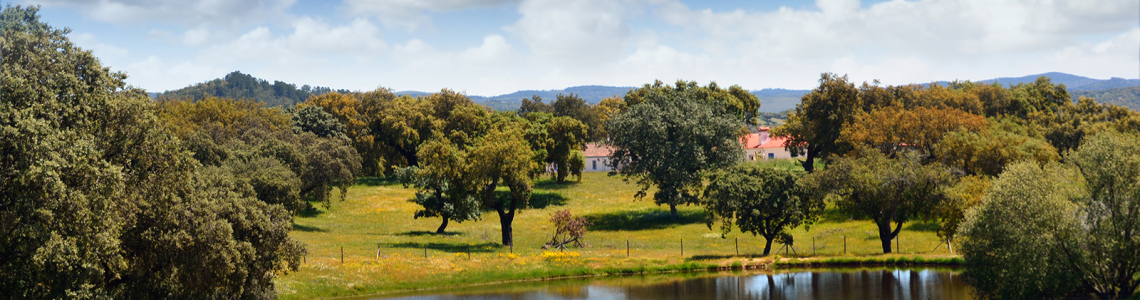 Lago entre Assumar e Urra
