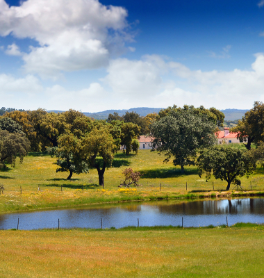 Lago entre Assumar e Urra