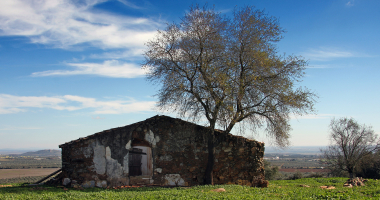 Ruinas…