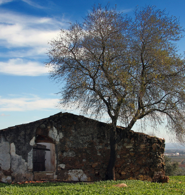 Ruinas…