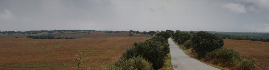 Estrada a Norte de Stº Amaro