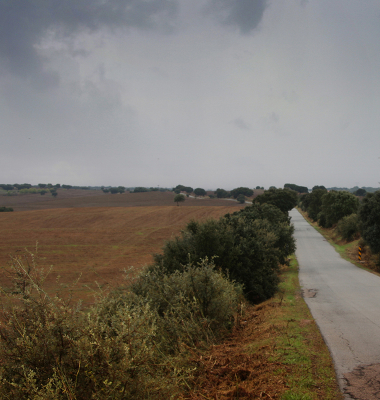 Estrada a Norte de Stº Amaro