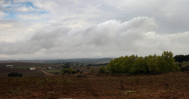 Paisagem a Norte de Stº Amaro