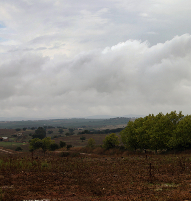 Paisagem a Norte de Stº Amaro