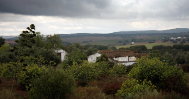 Monte entre Stº Amaro e Sousel