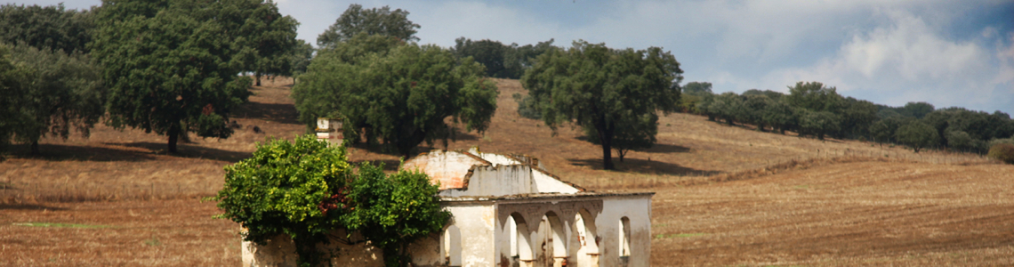 Monte em ruínas entre Stº Amaro e Sousel