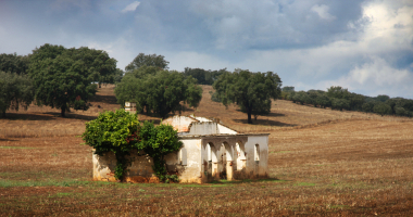 Monte em ruínas entre Stº Amaro e Sousel