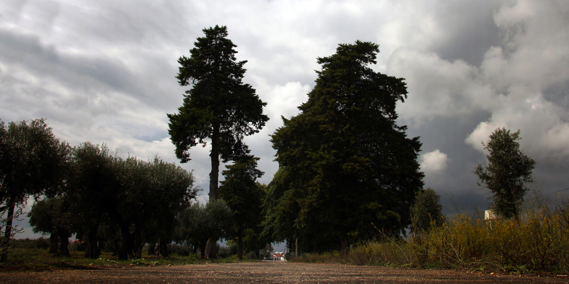 Entrada de Casa Branca